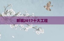 郸城2017十大工程
