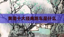 黄渤十大经典跑车是什么