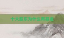 十大股东为什么有基金