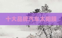 十大品牌汽车太阳膜