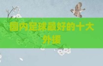 国内足球最好的十大外援