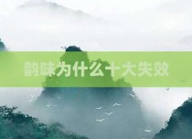 韵味为什么十大失效