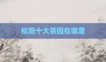 松阳十大茶园在哪里