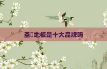 圣滙地板是十大品牌吗