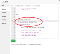 网站启用CDN之后，网站统计无法获取真实ip解决教程