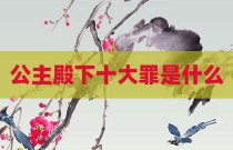公主殿下十大罪是什么