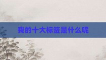 我的十大标签是什么呢