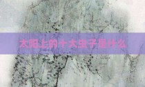 太阳上的十大虫子是什么