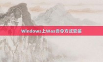 Windows上Was命令方式安装