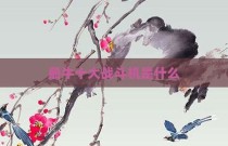 最牛十大战斗机是什么