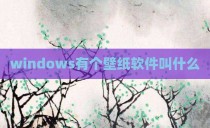 windows有个壁纸软件叫什么