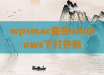 wpsmac能在windows下打开吗