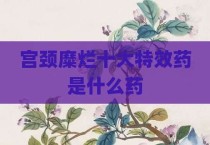 宫颈糜烂十大特效药是什么药