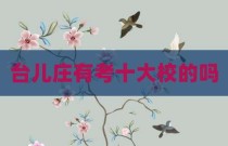 台儿庄有考十大校的吗