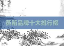 蒸箱品牌十大排行榜