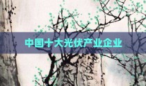 中国十大光伏产业企业