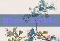 西湖的十大美景叫什么