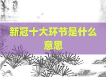 新冠十大环节是什么意思
