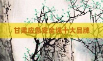 甘肃应急安全绳十大品牌