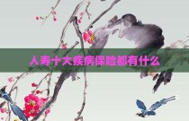 人寿十大疾病保险都有什么