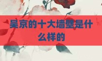 吴京的十大墙壁是什么样的