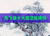 先飞是十大厨卫品牌吗