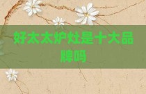 好太太炉灶是十大品牌吗
