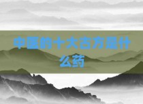 中医的十大古方是什么药