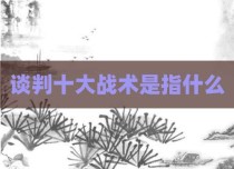 谈判十大战术是指什么