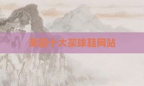 美国十大买球鞋网站