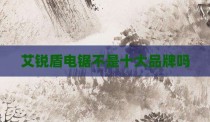 艾锐盾电锯不是十大品牌吗
