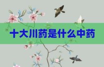 十大川药是什么中药