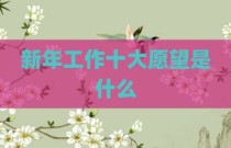 新年工作十大愿望是什么