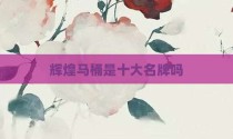 辉煌马桶是十大名牌吗