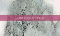 人身当归灵芝是十大什么