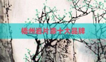 梧州岩片漆十大品牌