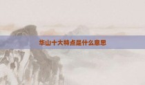 华山十大特点是什么意思