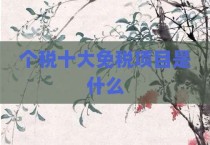 个税十大免税项目是什么