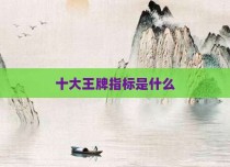 十大王牌指标是什么
