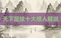 天下足球十大感人解说