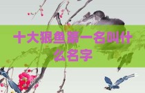 十大狠鱼第一名叫什么名字