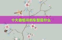十大最怕冷的车型是什么