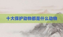 十大保护动物都是什么动物