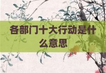 各部门十大行动是什么意思