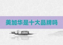 美加华是十大品牌吗