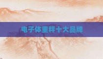 电子体重秤十大品牌