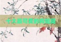 十大最可爱的狗短腿