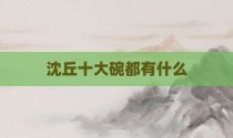 沈丘十大碗都有什么