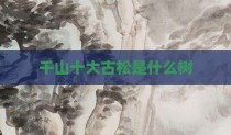 千山十大古松是什么树
