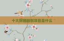 十大财团融创项目是什么